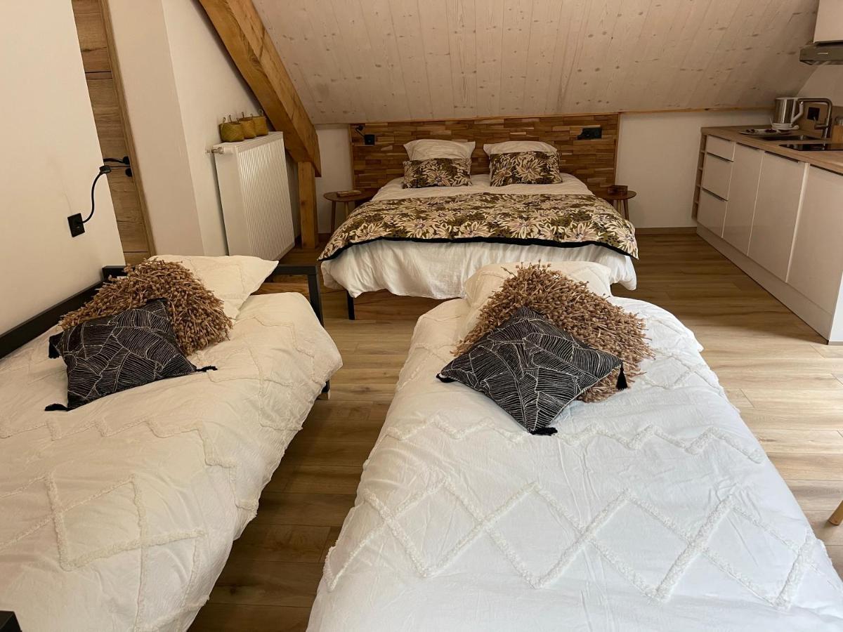 Chambres D'Hotes Les Chambres D'Elsa Албие-Монрон Екстериор снимка